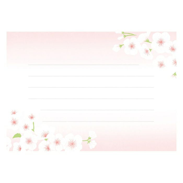 Furukawashiko Mini Horizontal Letter Set - White Sakura