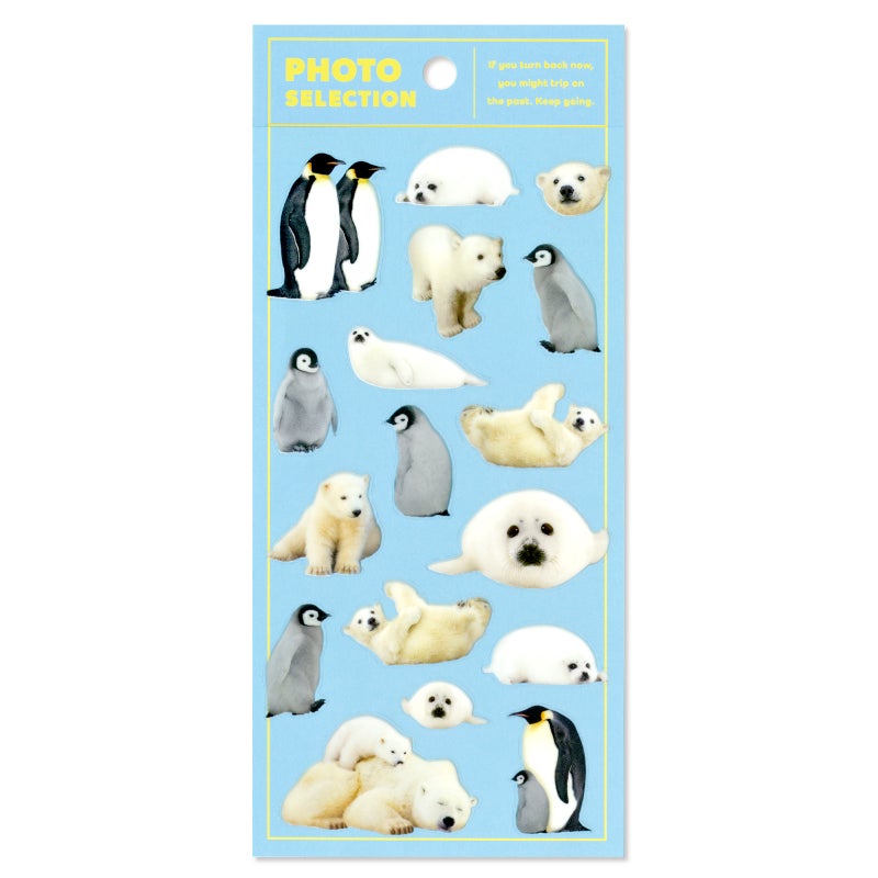Mind Wave Photo Selection Stickers - Creatures of Cold Places