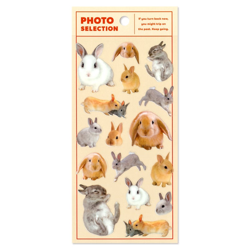 Mind Wave Photo Selection Stickers - Rabbits