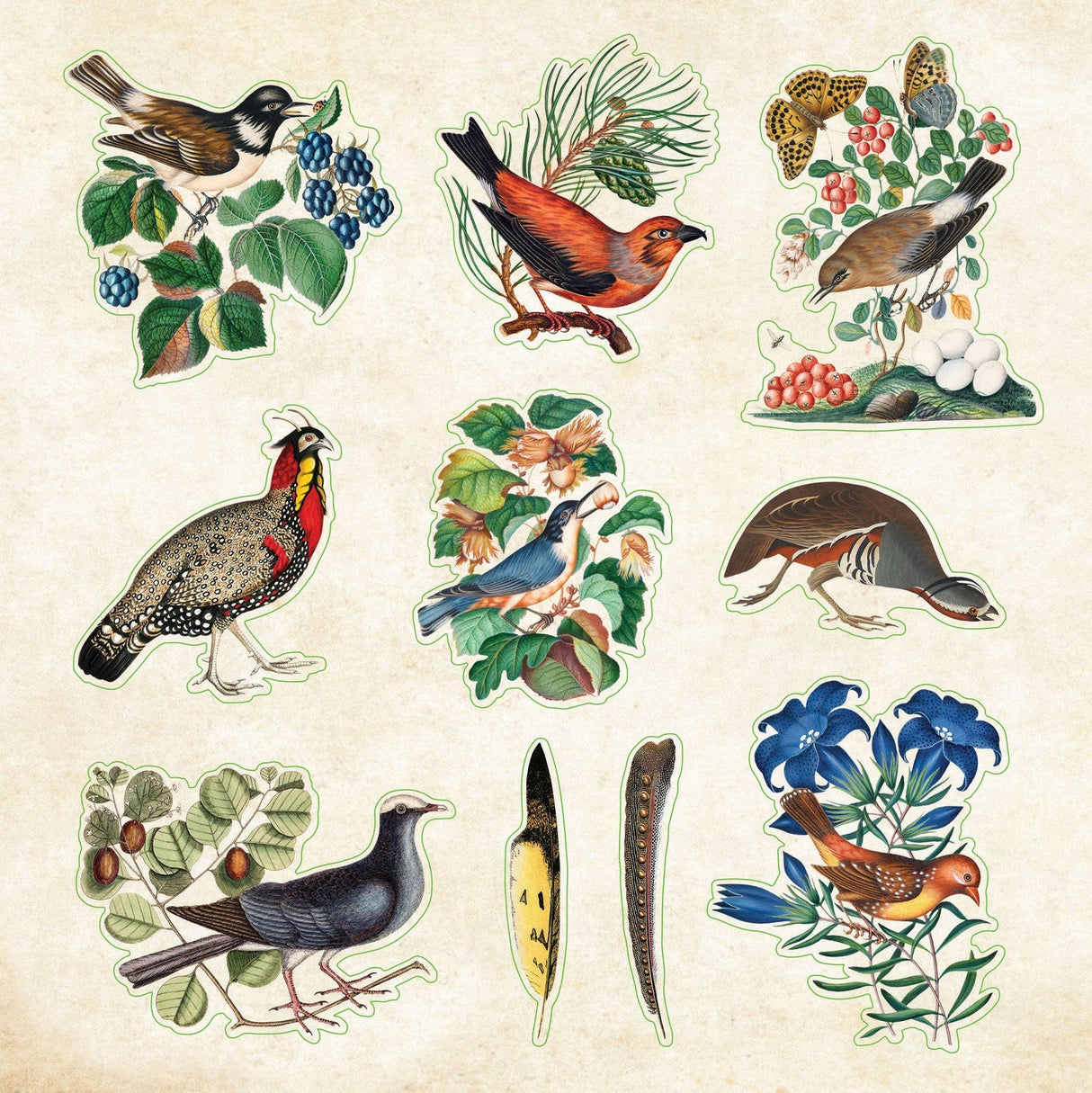 Zoological Ephemera Sticker Books