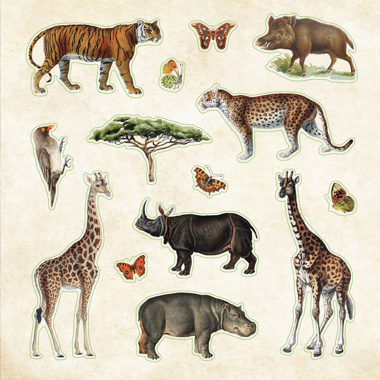 Zoological Ephemera Sticker Books