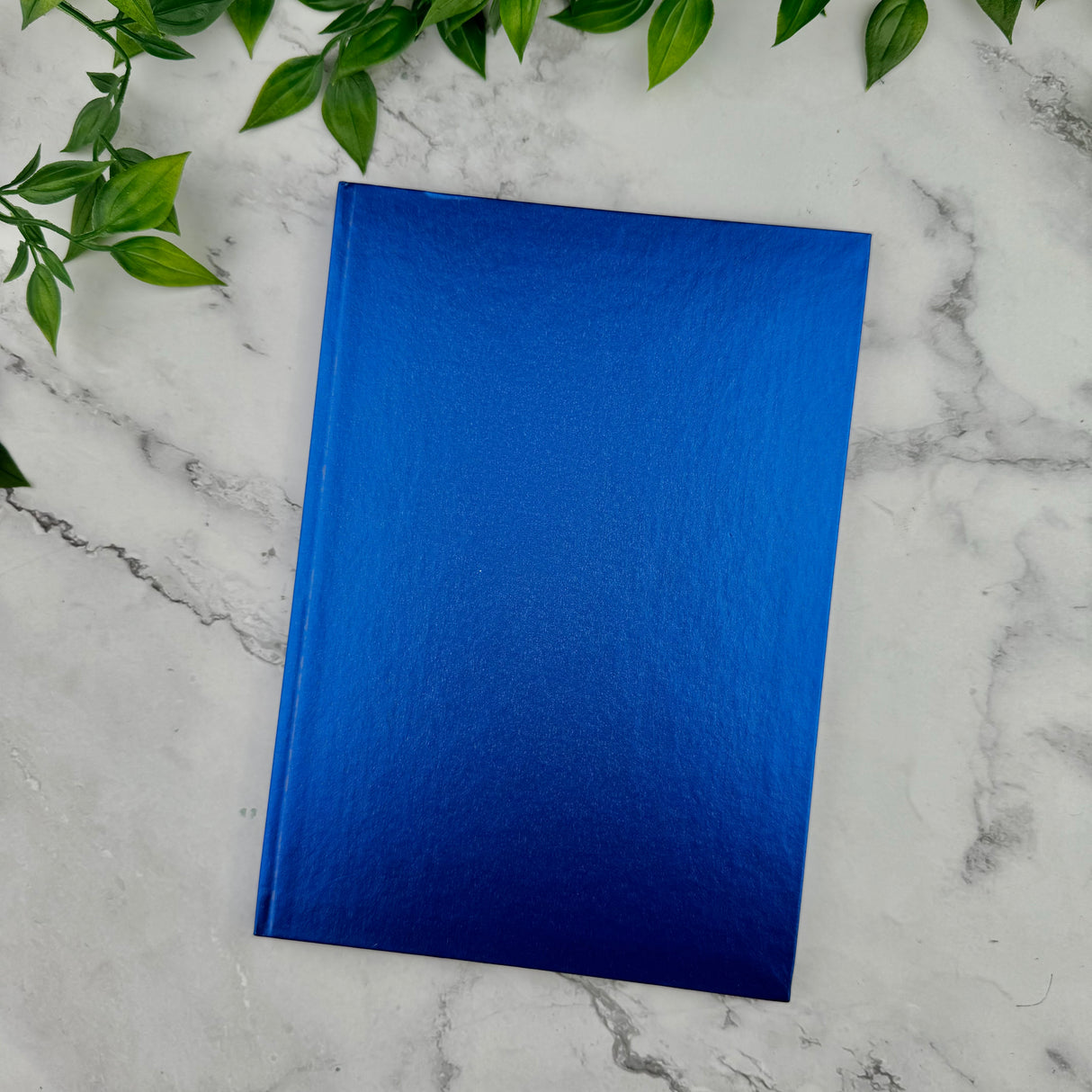 Caran d'Ache COLORMAT-X Notebook - Ruled