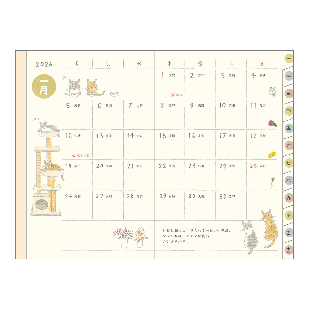 Midori Mini Pocket Diary - Cats