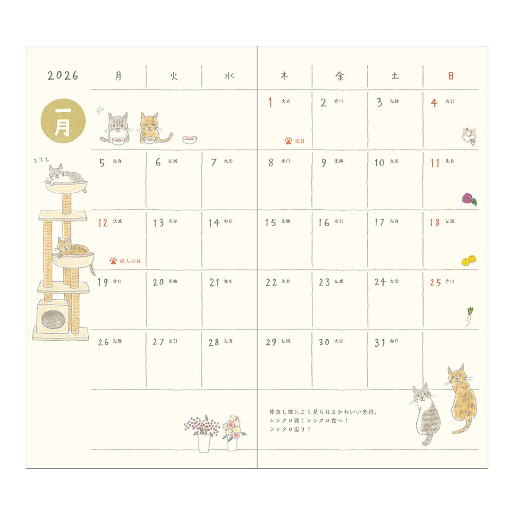 Midori Slim Pocket Diary - Cats