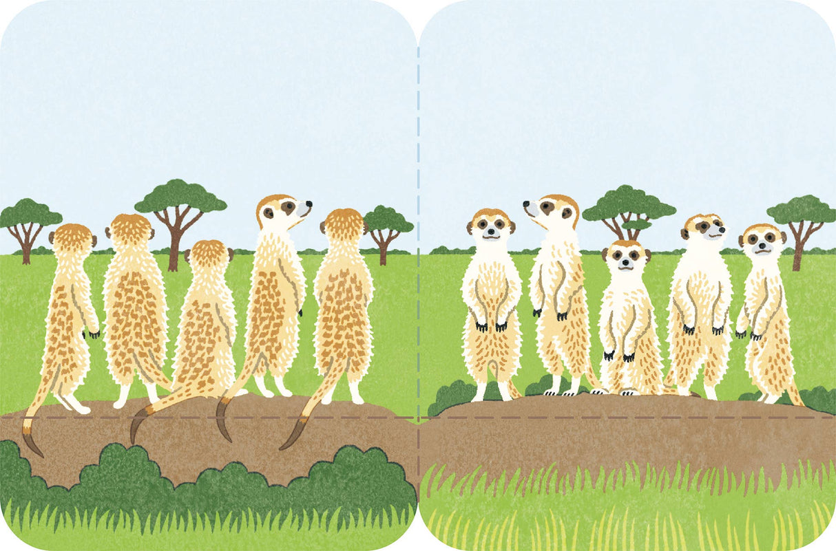 FUTAMATA-FUSEN Decoration Paper Tape Size L - Meerkat