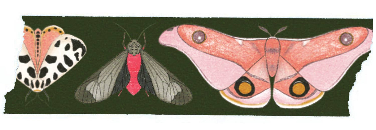 beve! Moth Washi Tape in Pink and Green