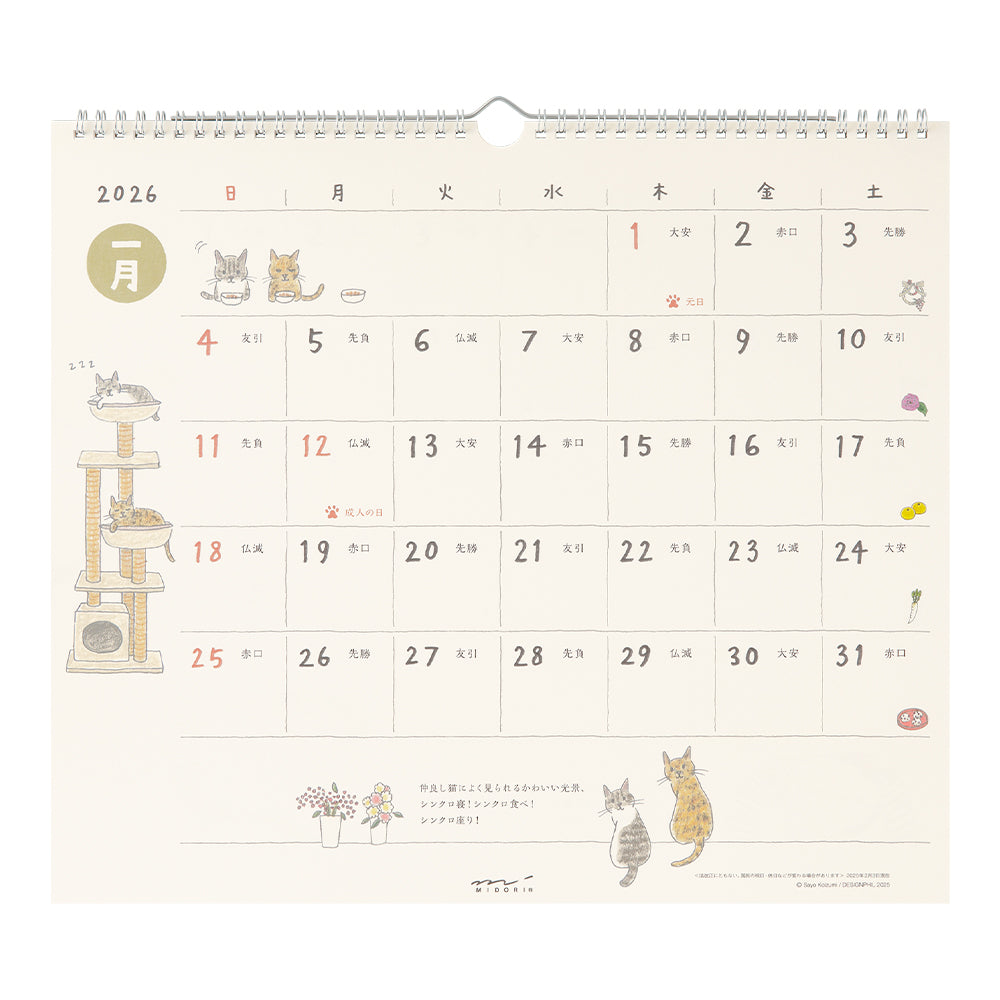 Midori Wall-Hanging Calendar - L - Cat