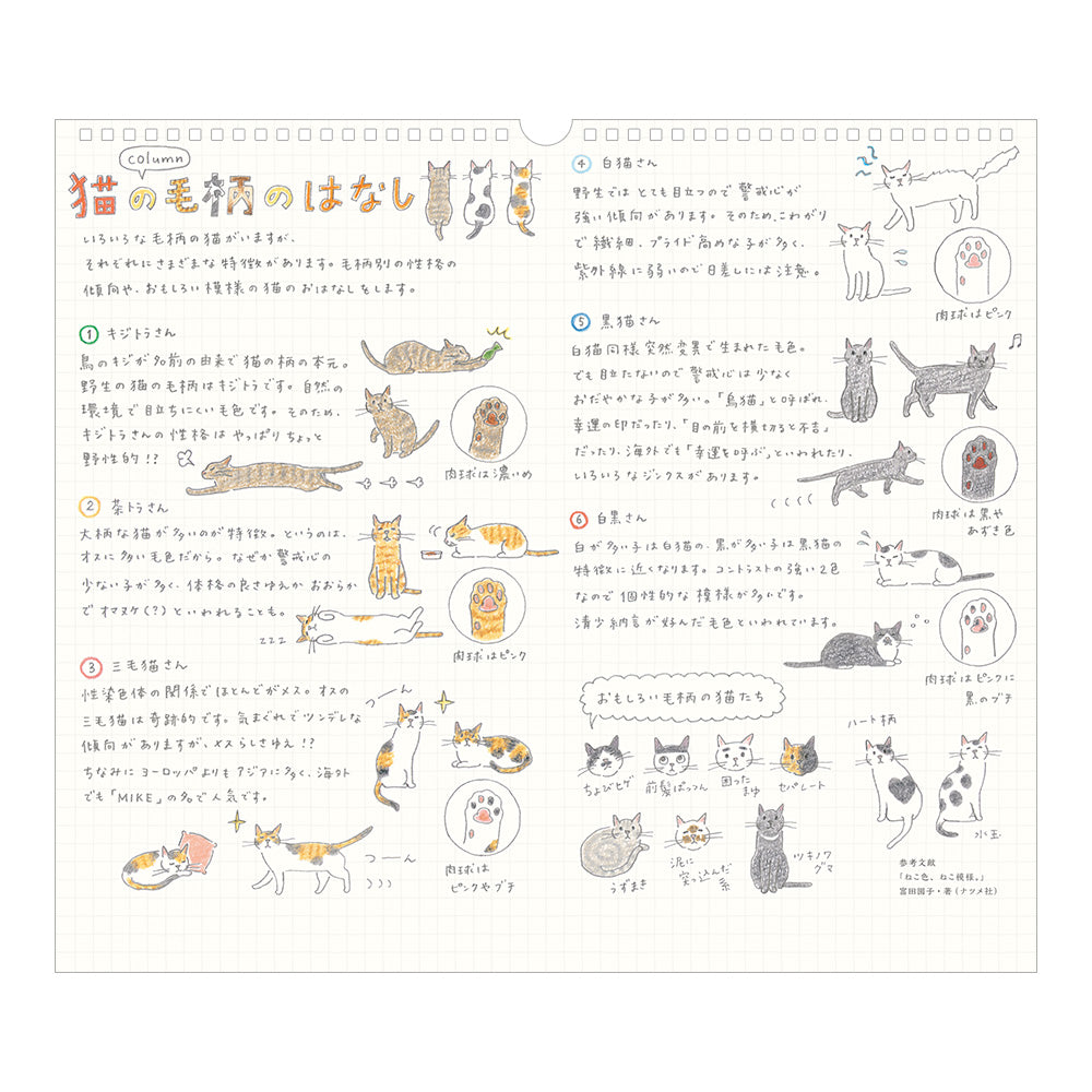 Midori Wall Calendar L - Cat
