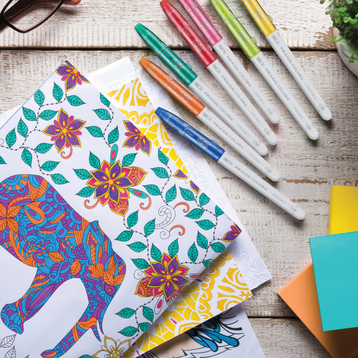 Pilot FriXion Colors Erasable Marker