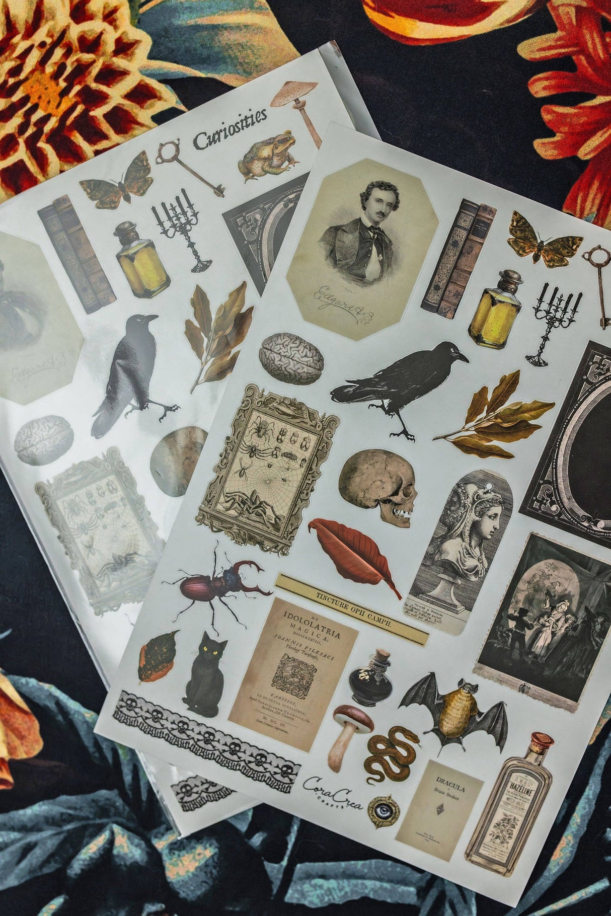 CoraCreaCrafts Curiosities Sticker Sheet