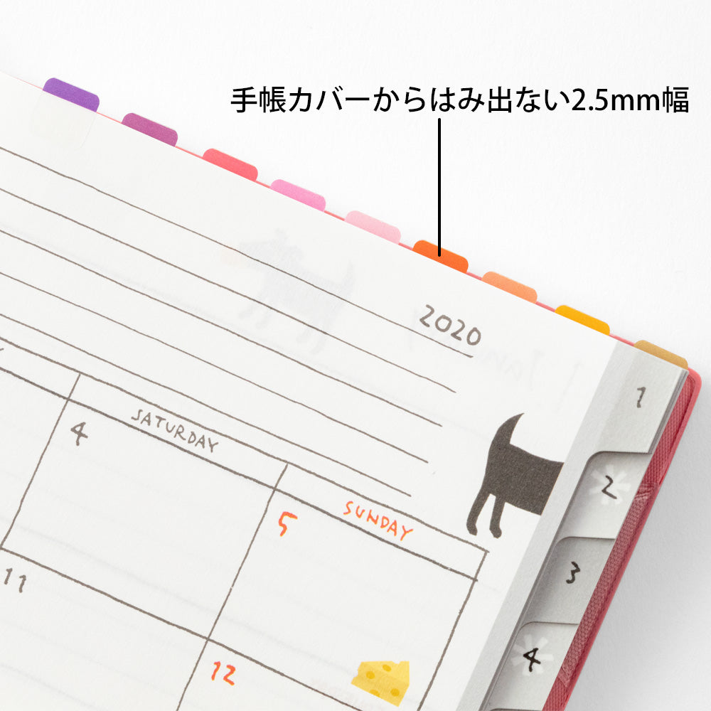 Midori Index Chiratto Label - 24 Colors Vivid