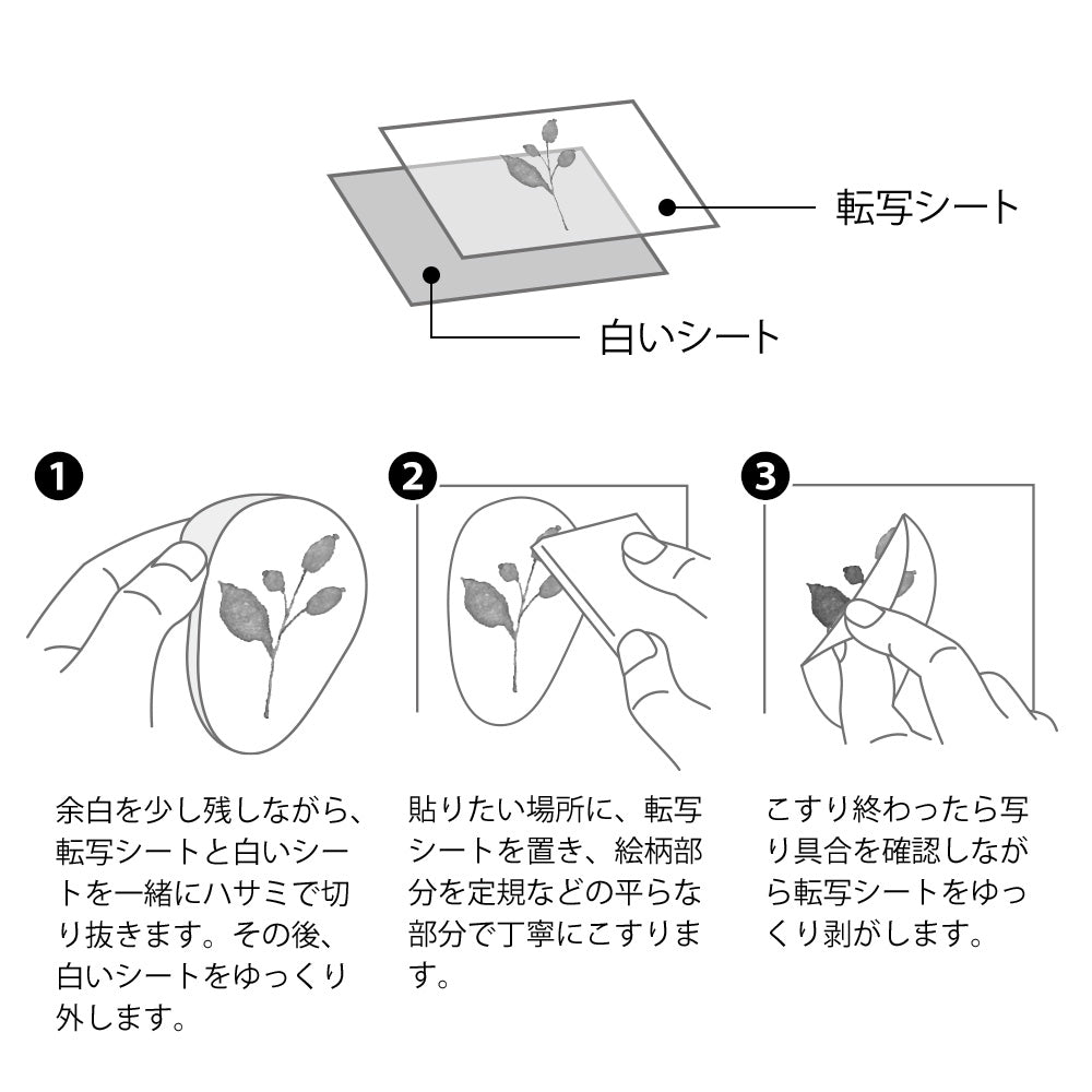 Midori Sticker - Flowering Plants