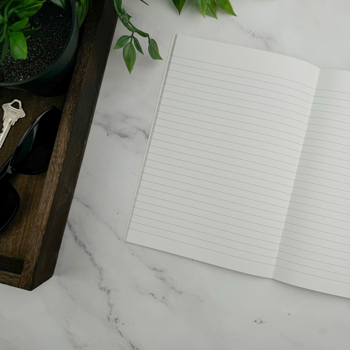 Apica CD-11 Notebook - Ruled - A5