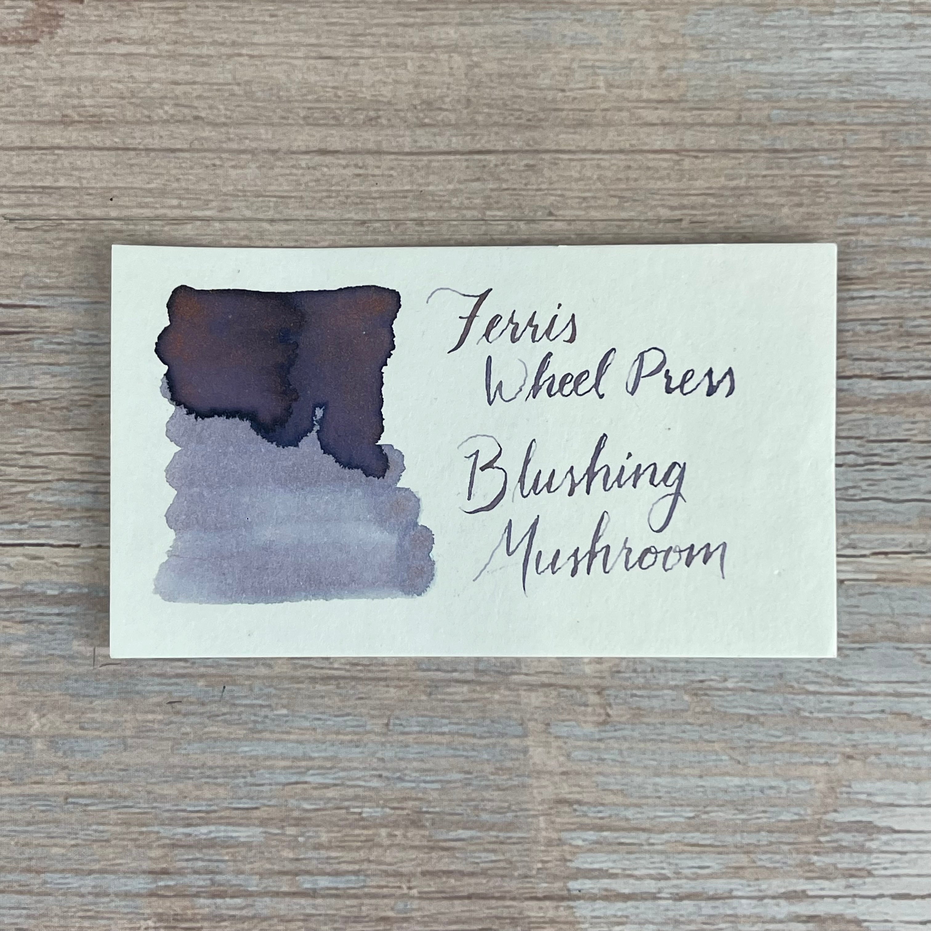 Blushing Mushroom Fountain Pen Ink: Down the Rabbit Hole~Ferris Wheel  Press 