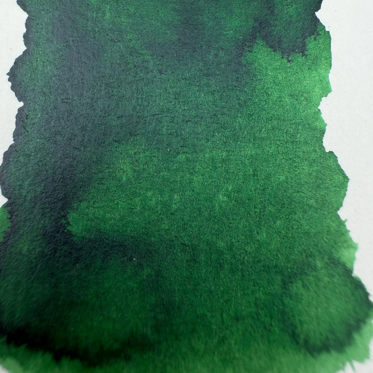 Diamine Forever Ink Amazonia - 50ml Bottled Ink