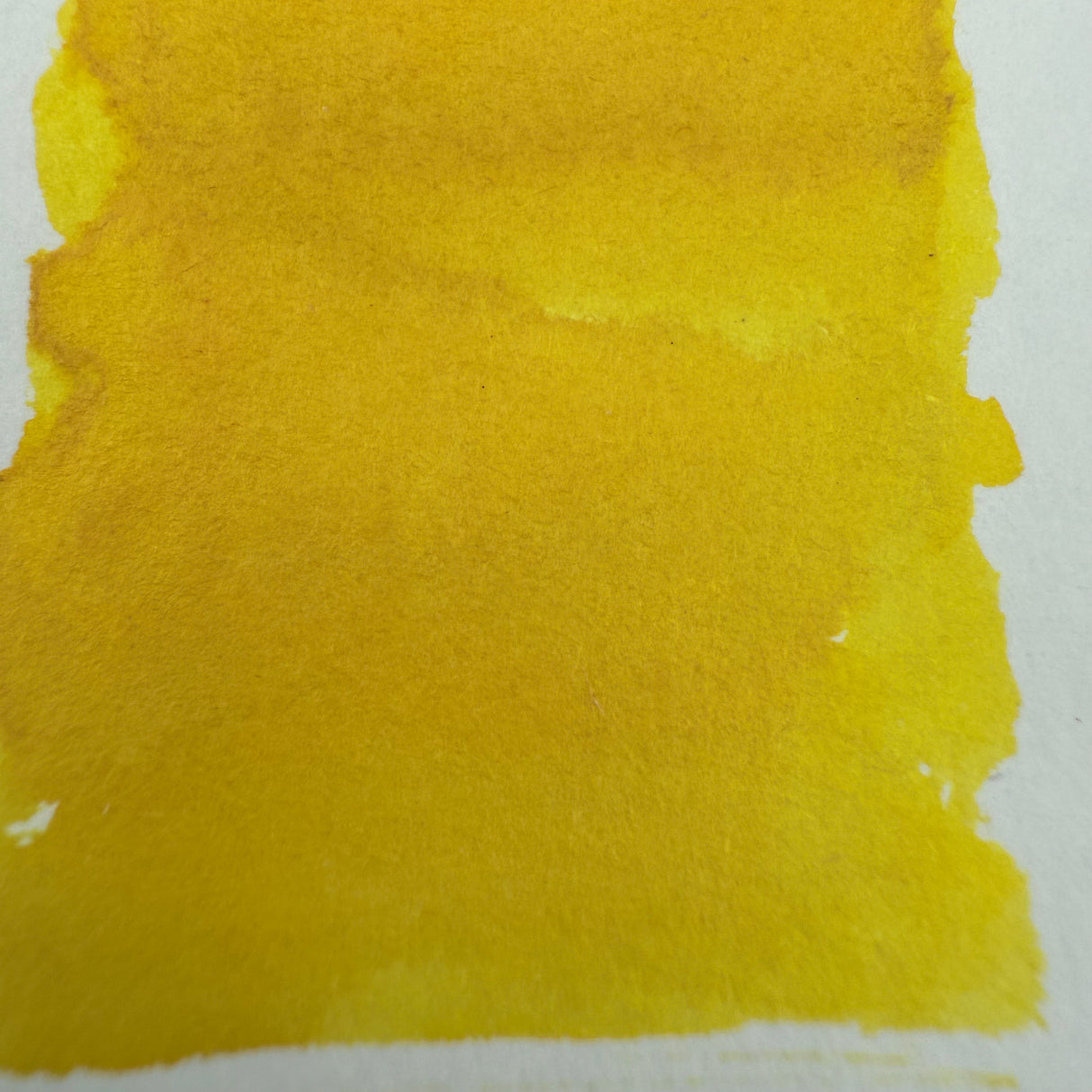 Diamine Forever Ink Solar Yellow - 50ml Bottled Ink