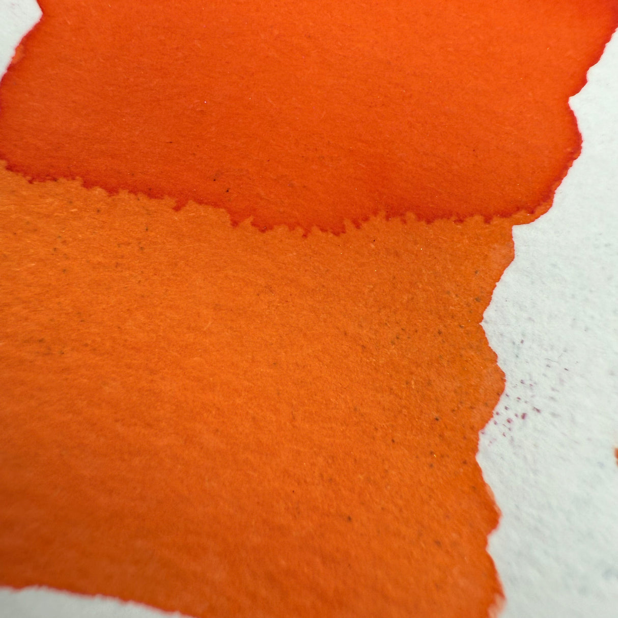 Diamine Inkvent Fruit Cocktail - 50ml Bottled Ink