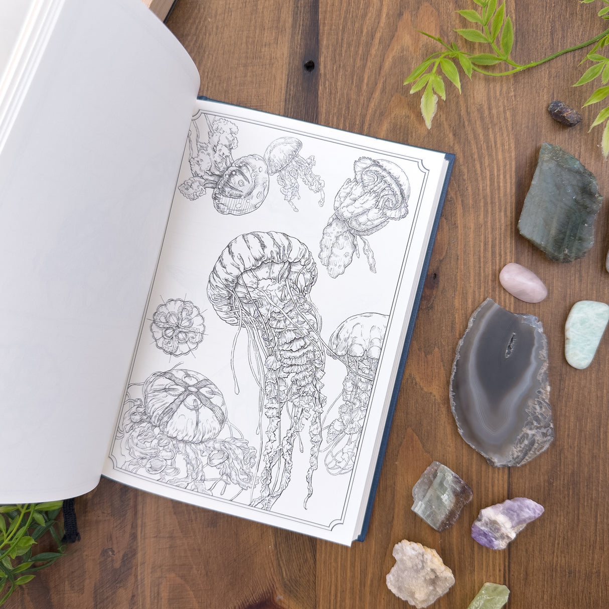 Dominant Industry Ink Archiving Book - A Log of Atlantis