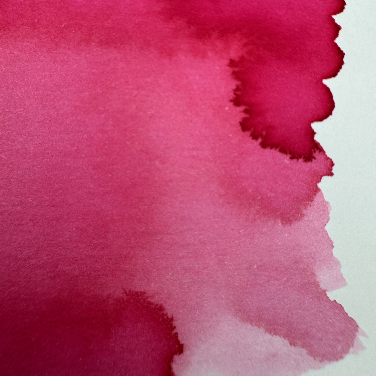 Dominant Industry Pink Robin - 25ml Bottled Ink