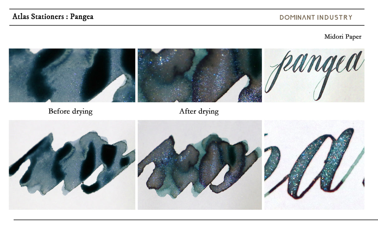 Dominant Industry Pangea - 25ml Bottled Ink (Atlas Exclusive)