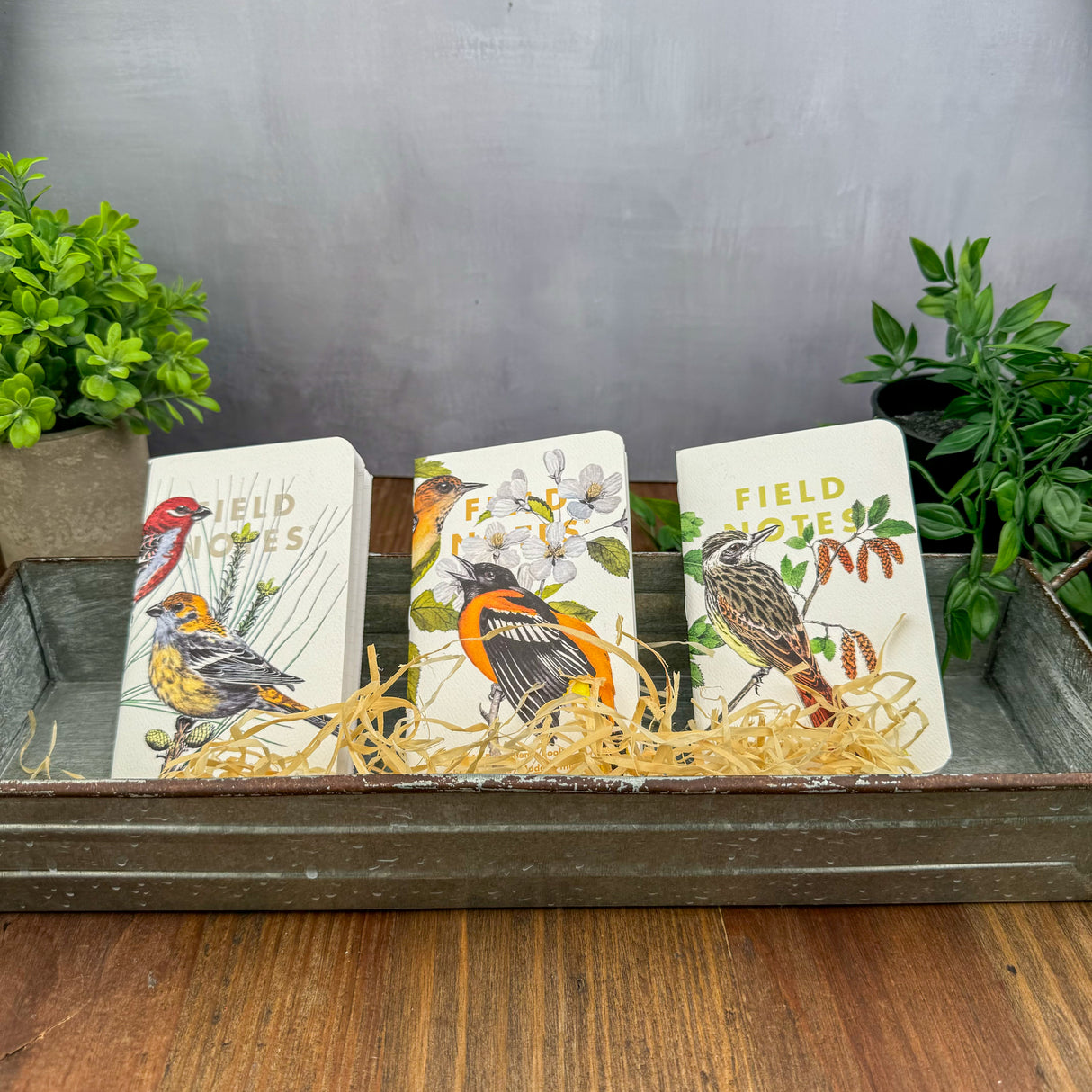 Field Notes Quarterly Edition - Birds and Trees of North America - Pack B (Special Edition)