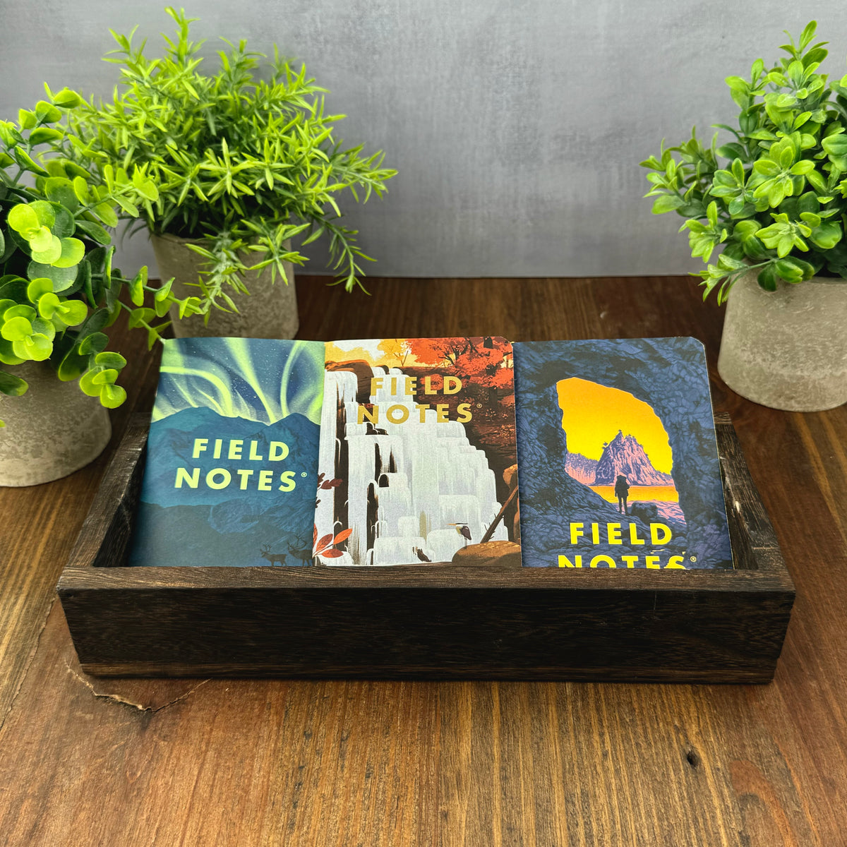 Field Notes National Parks Series E – Atlas Stationers