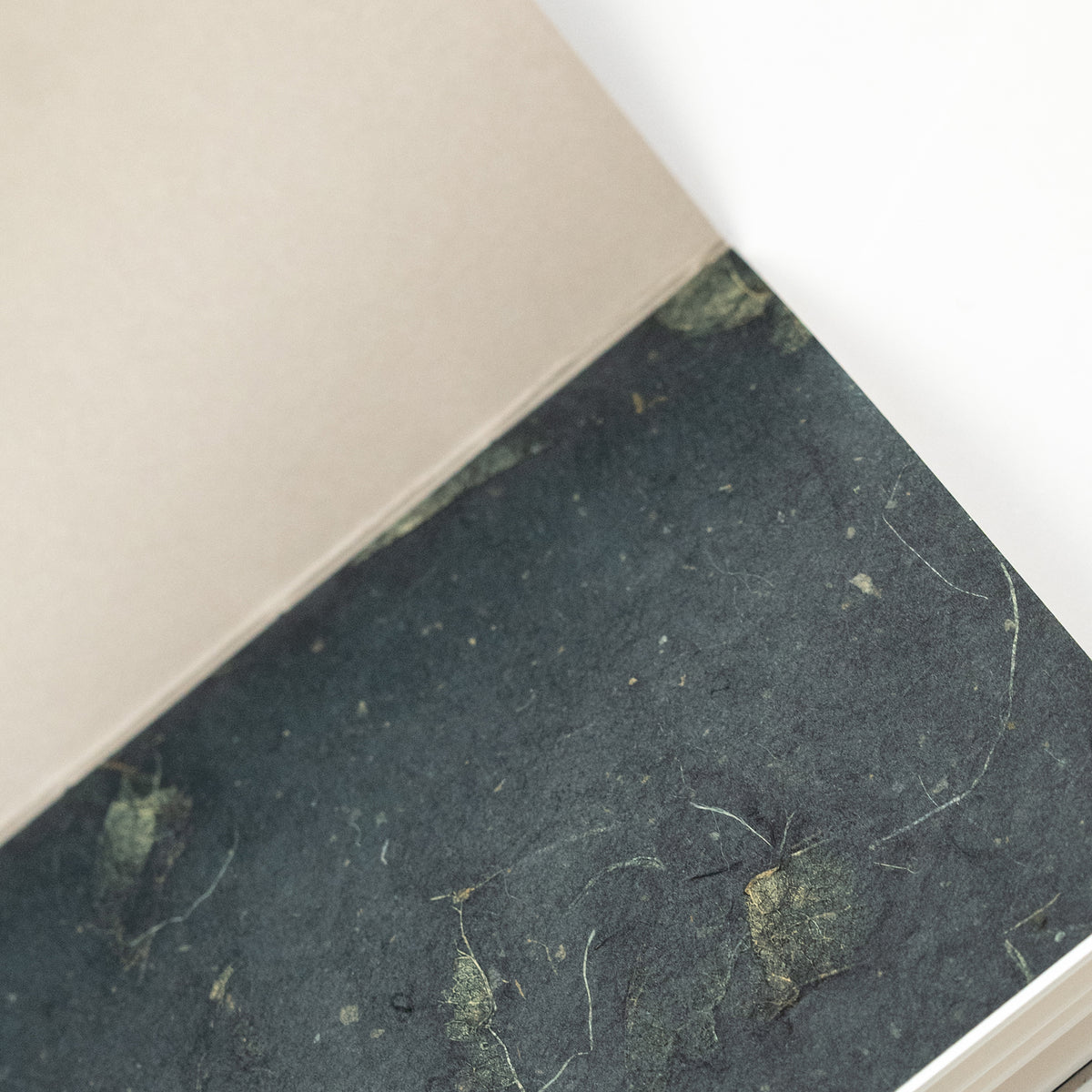 Haley Franker Design Pamphlet Notebook - Blank