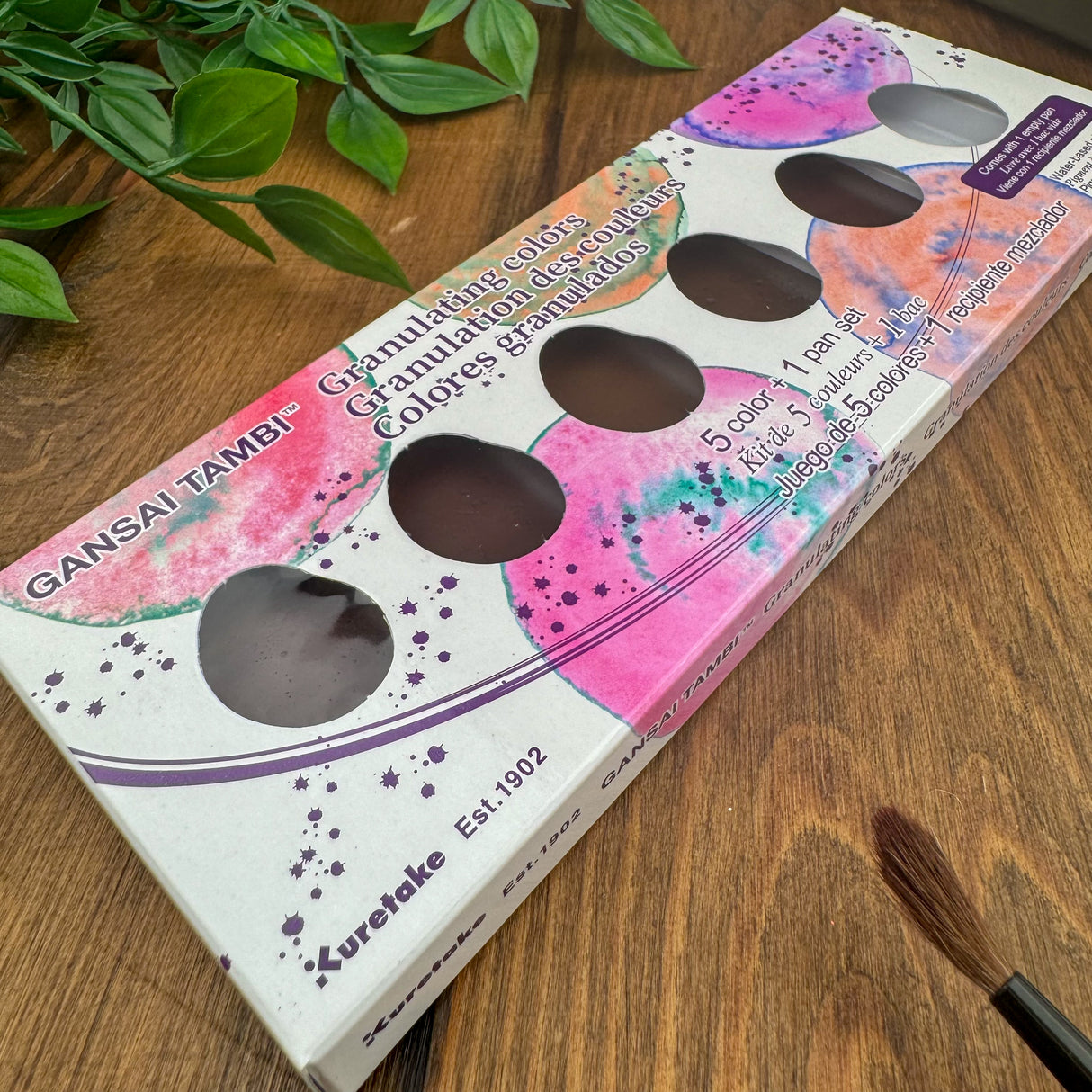 Kuretake Gansai Tambi 5 Color Set - Granulating