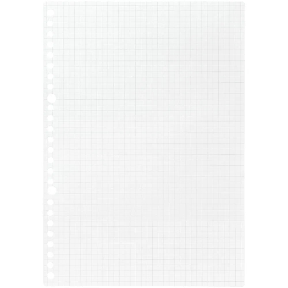 Maruman Loose Leaf Paper - Graph - B5