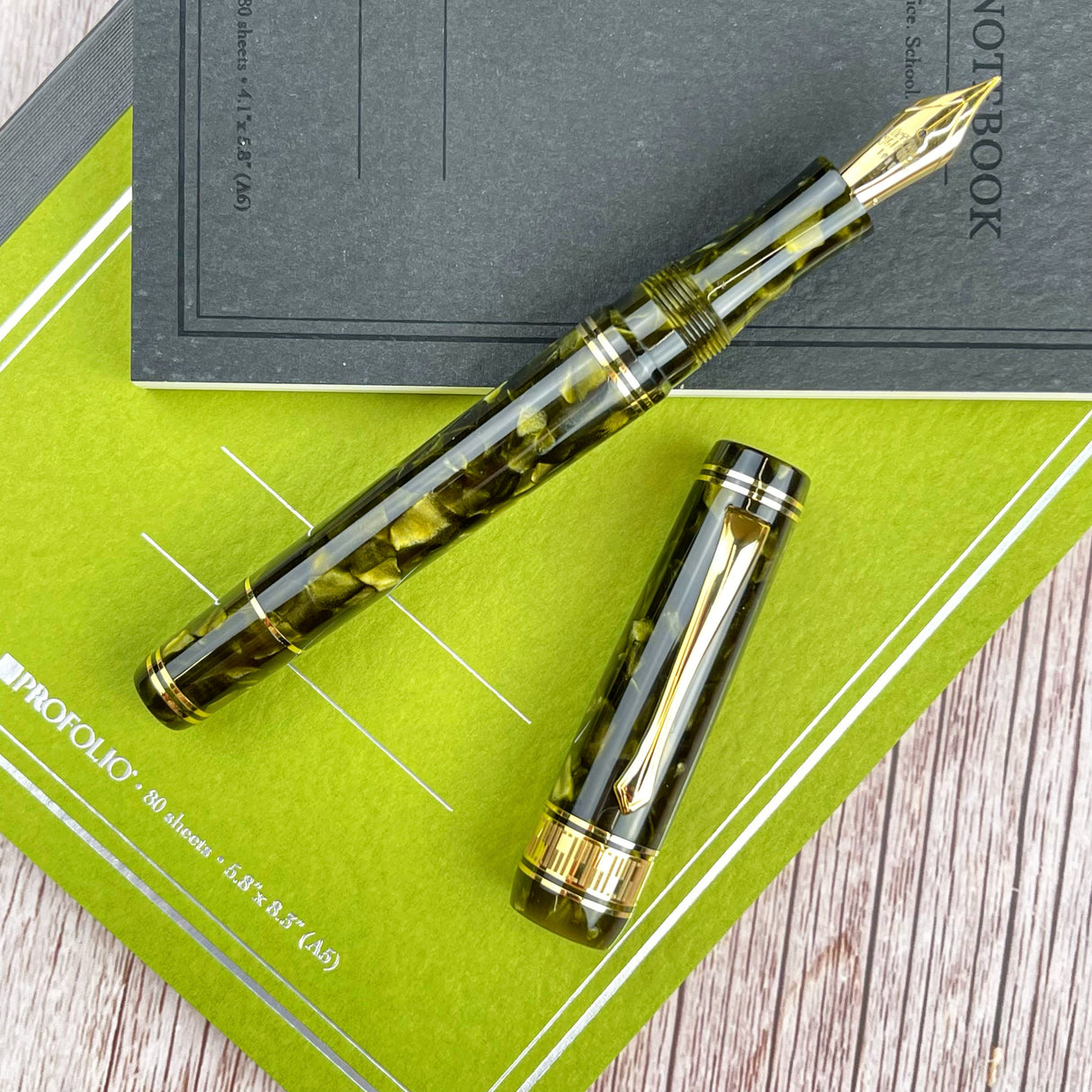 Nettuno Superba Fountain Pen w/ Gold Trim