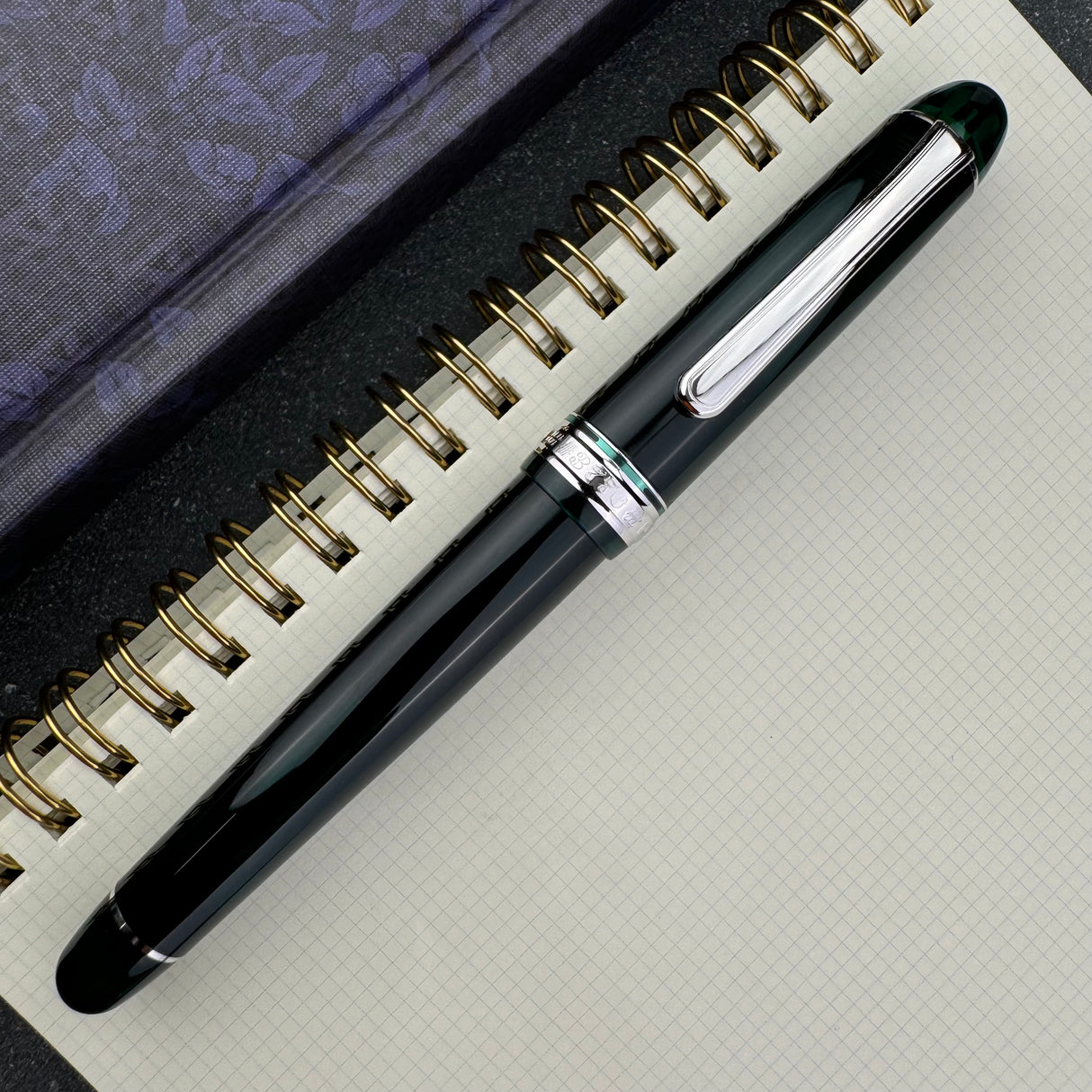 Platinum #3776 Century Fountain Pen - Laurel Green with Rhodium Trim (Doorbuster)