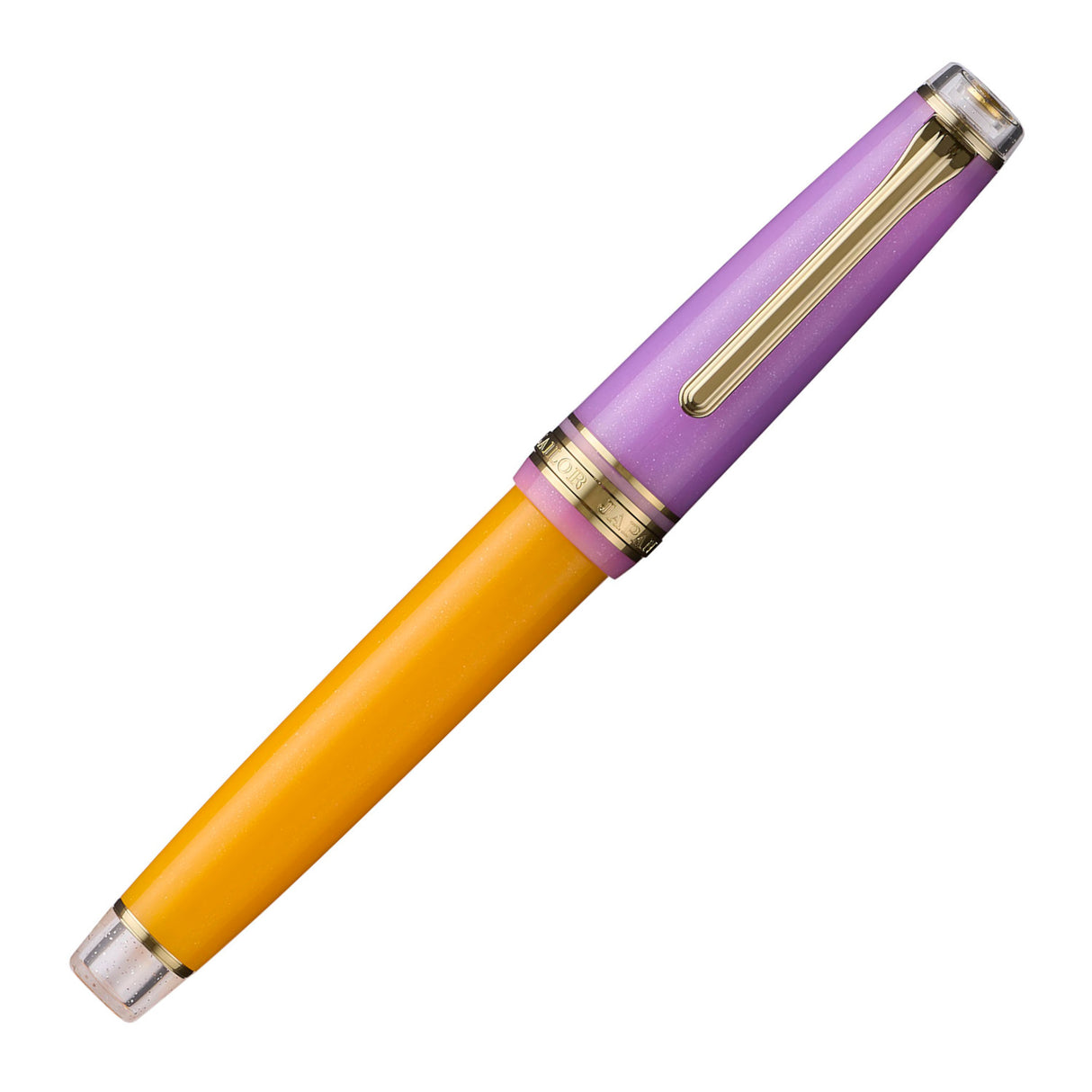 Sailor Pro Gear Fountain Pen - Acai Berry (Special Edition)