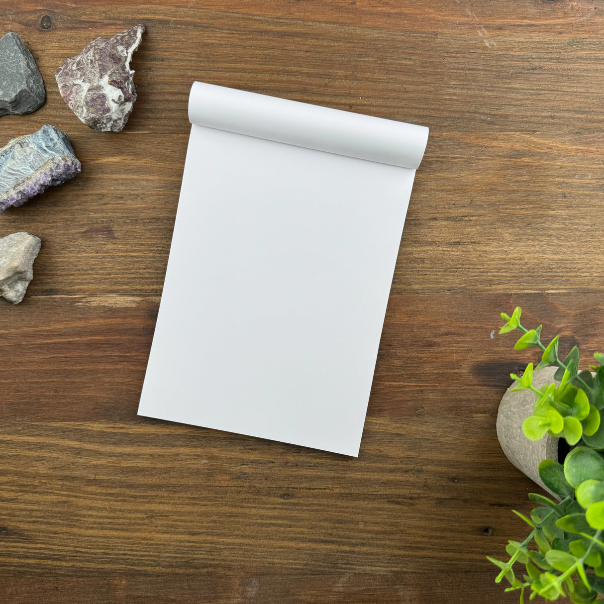 Rhodia Staplebound Notepad - Blank 80 sheets - 6 x 8 1/4 - Black cover