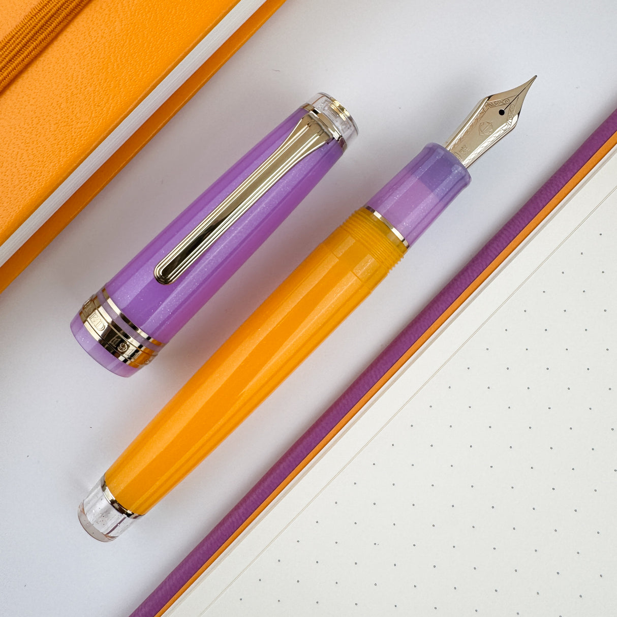 Sailor Pro Gear Fountain Pen - Acai Berry (Special Edition)