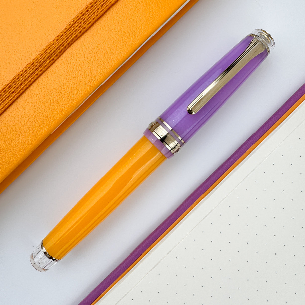 Sailor Pro Gear Fountain Pen - Acai Berry (Special Edition)