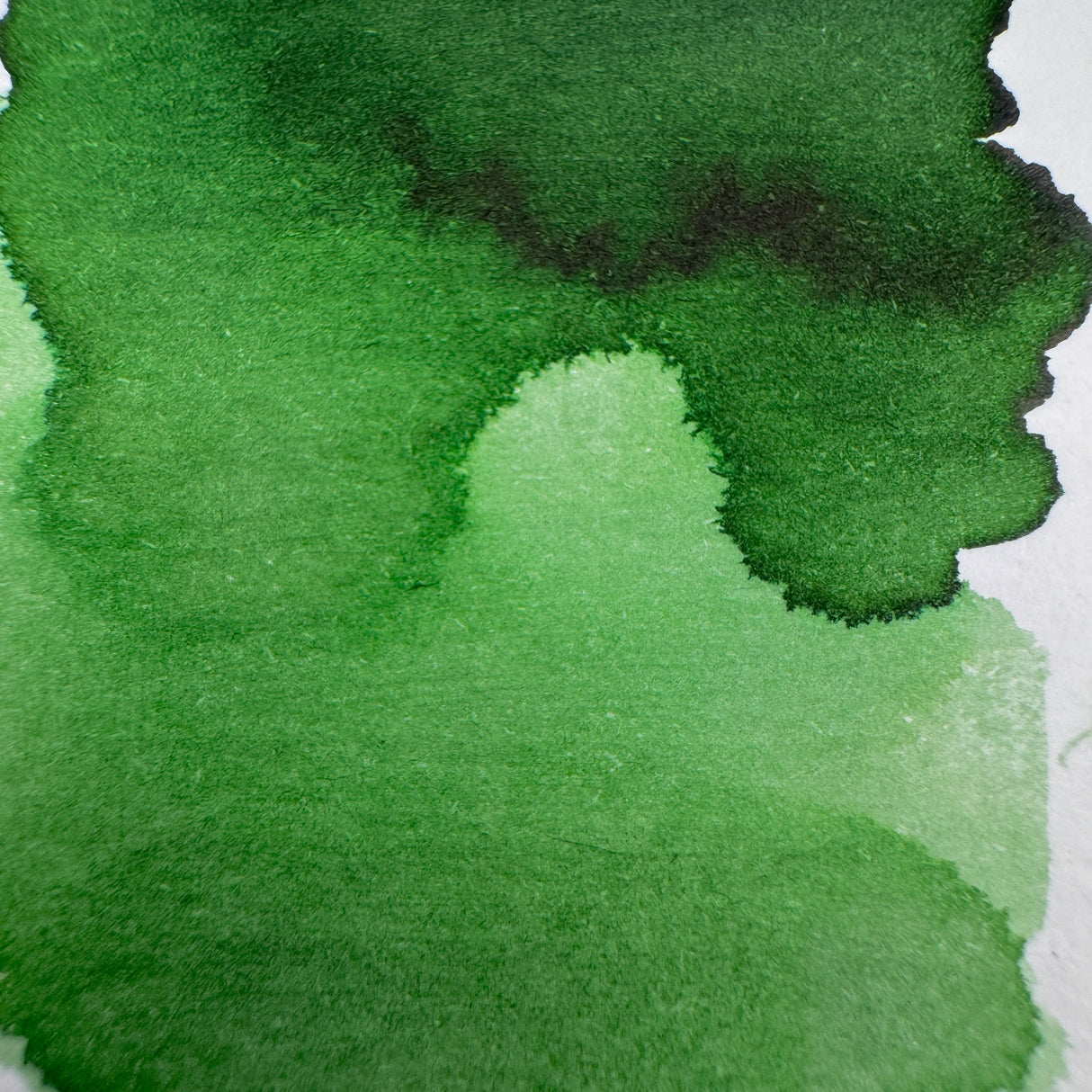 Sailor Shikiori Kusa Asobi - Sasabune - 20ml Bottled Ink