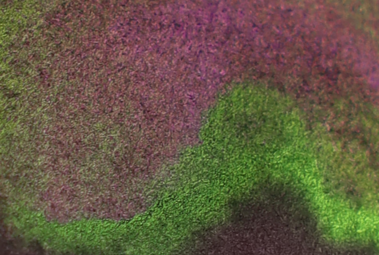 Sailor 20ml Dipton Bottled Ink - Ripe Fig