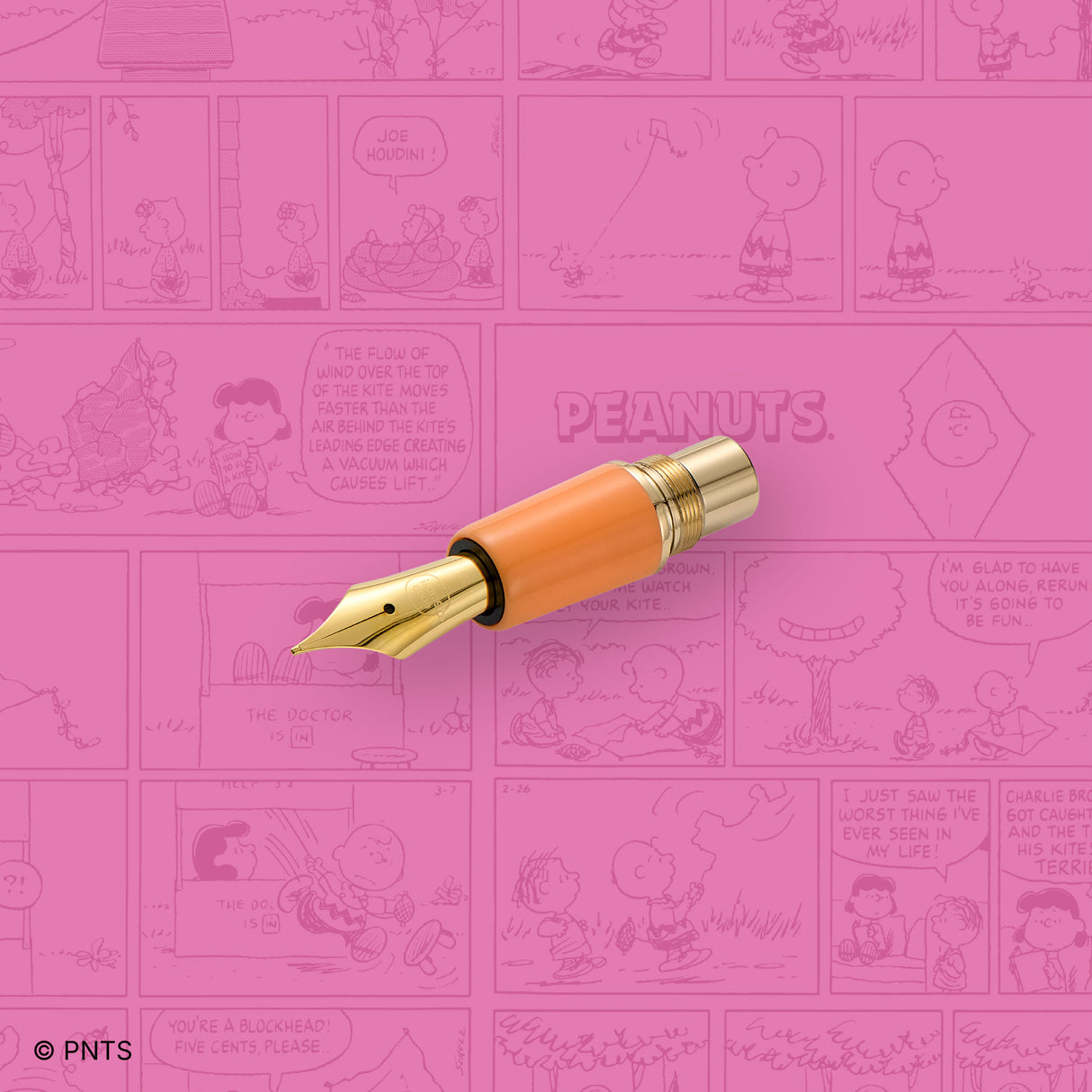 Esterbrook x Peanuts Fountain Pen - Sally - 75th Anniversary Edition (Special Edition)