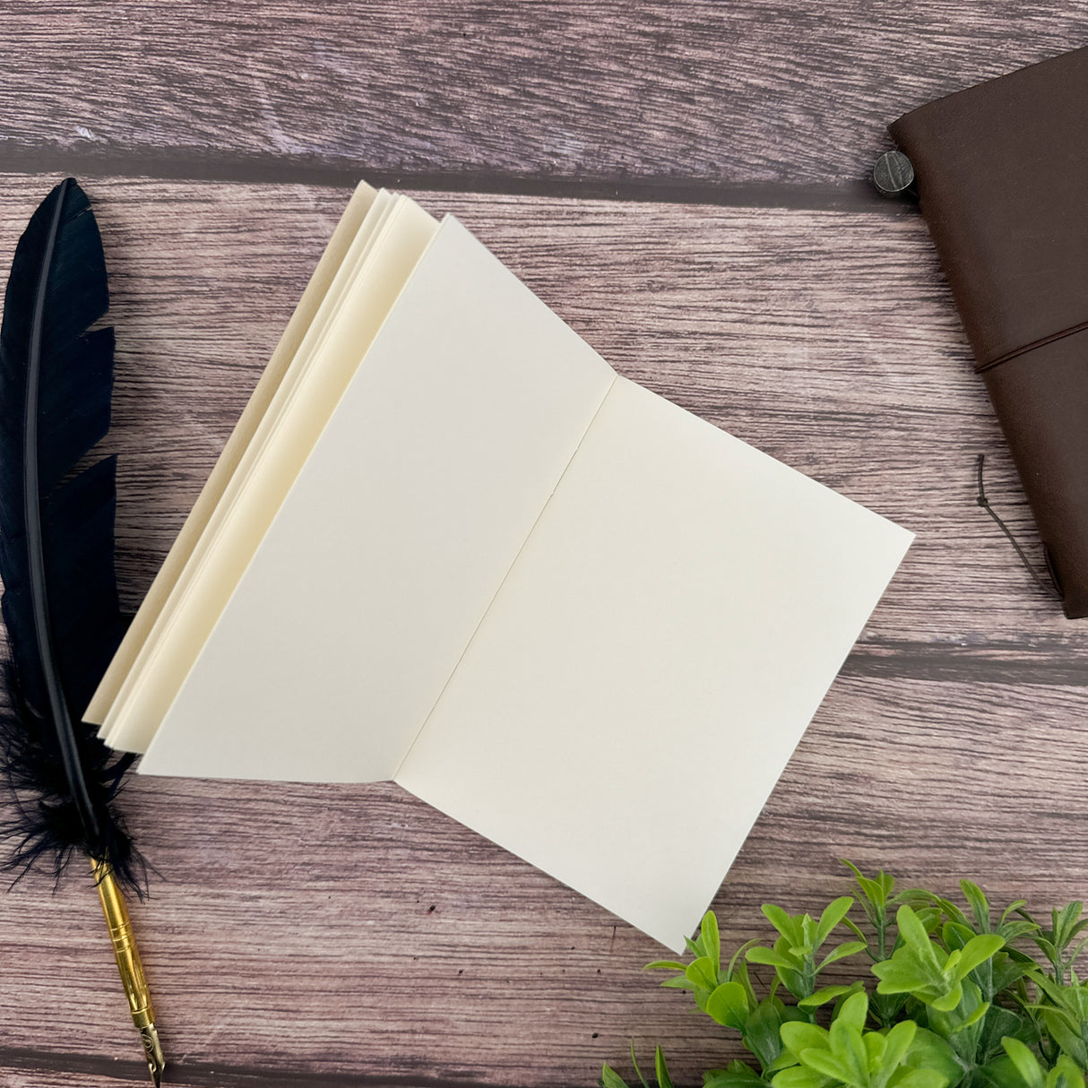 Traveler's Blank Cream Notebook Refill - Passport Size