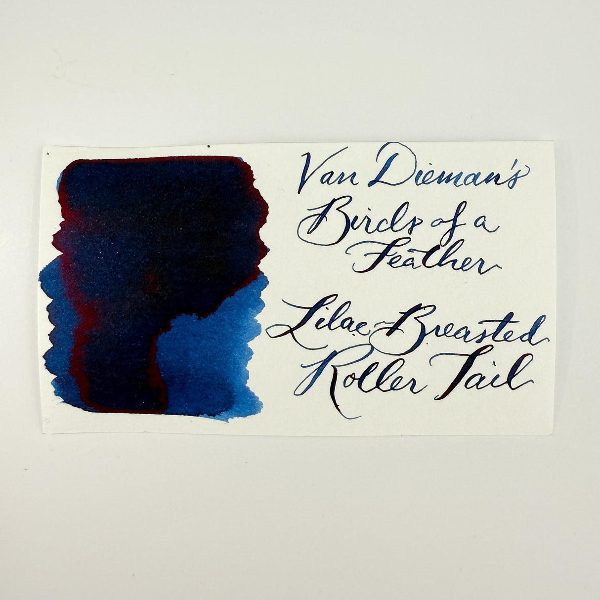 Van Dieman's Birds of a Feather - Lilac-Breasted Roller Tail - 30ml Bottled Ink