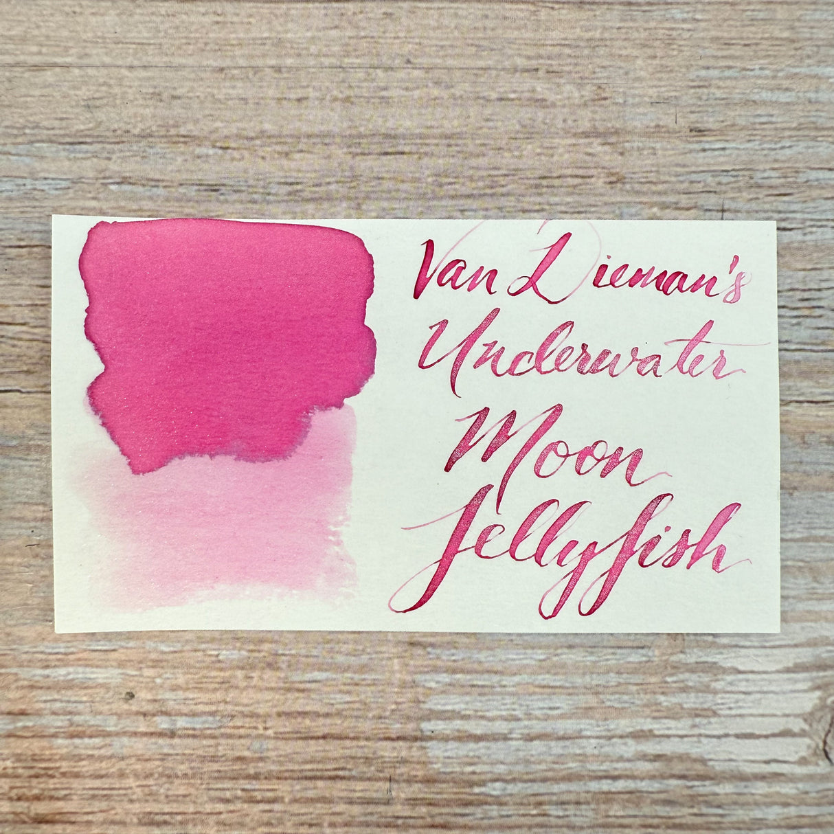 Van Dieman's Underwater - Moon Jellyfish - Shimmer Ink