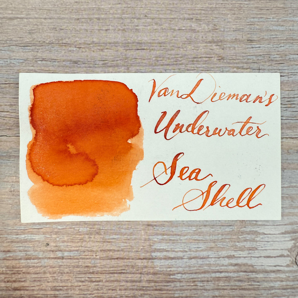 Van Dieman's Underwater - Sea Shell - Shimmer Ink