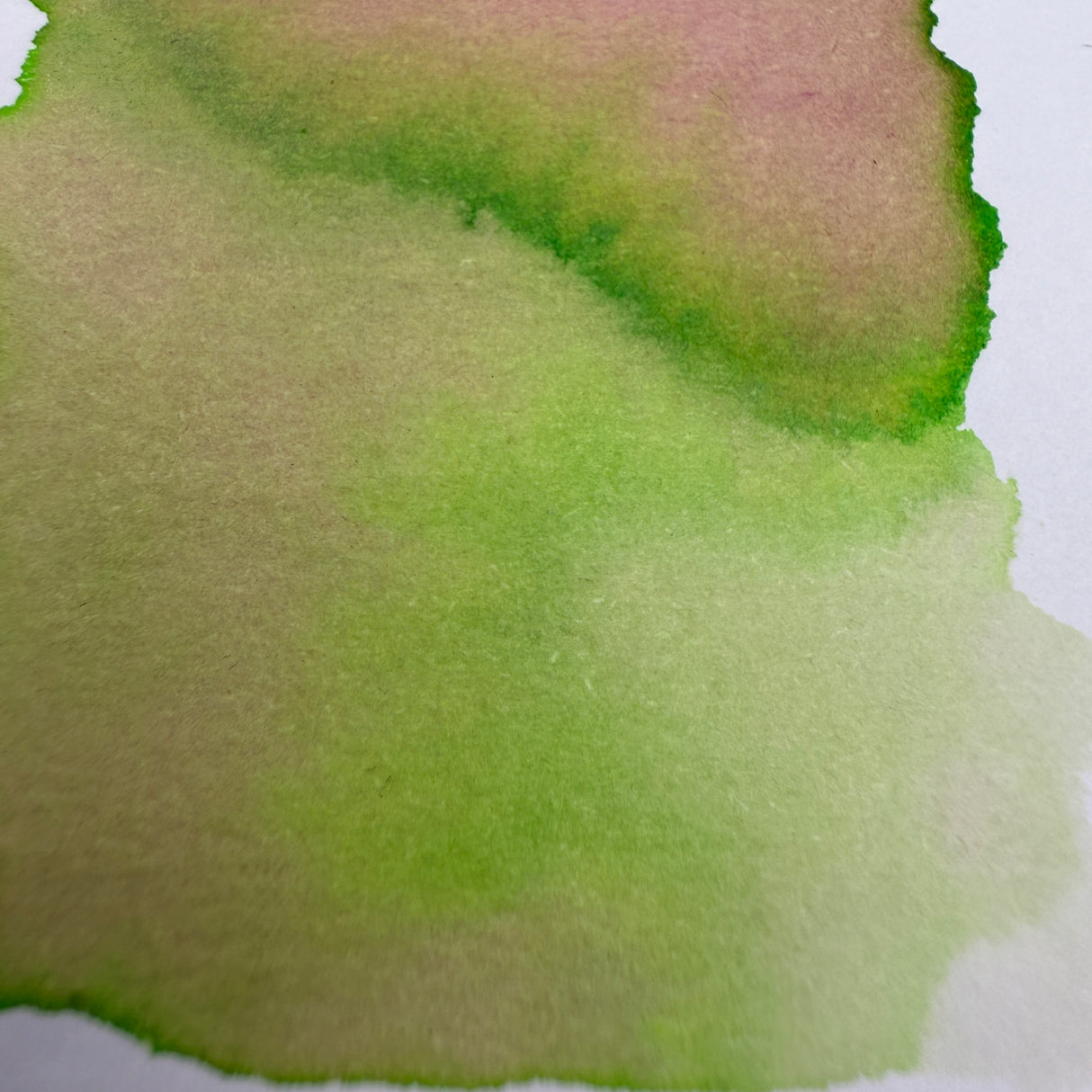 Van Dieman's Professional - Natura Dualis - Harvest Tide - 40ml Bottled Ink