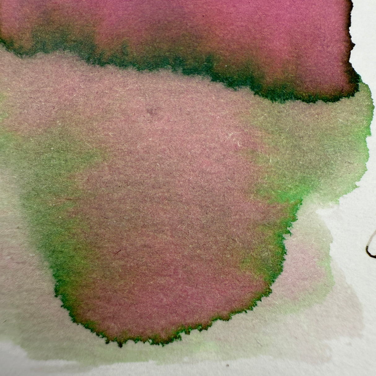 Van Dieman's Professional - Natura Dualis - Riverbank - 40ml Bottled Ink