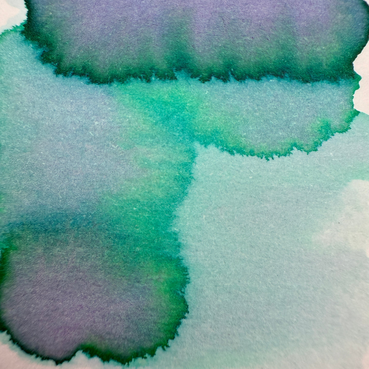 Van Dieman's Professional - Natura Dualis - Underflow - 40ml Bottled Ink