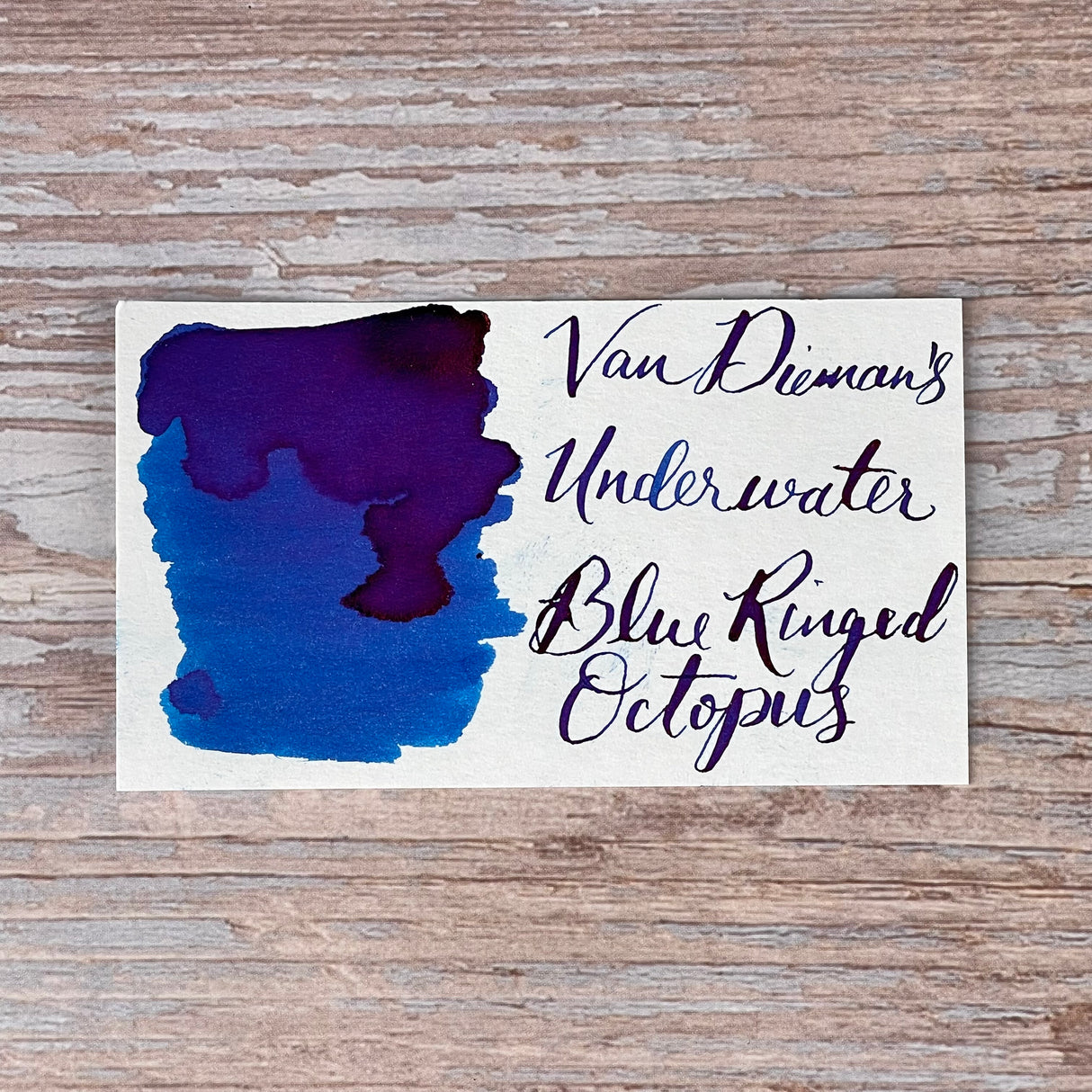 Van Dieman's Underwater - Blue Ringed Octopus - 30ml Bottled Ink