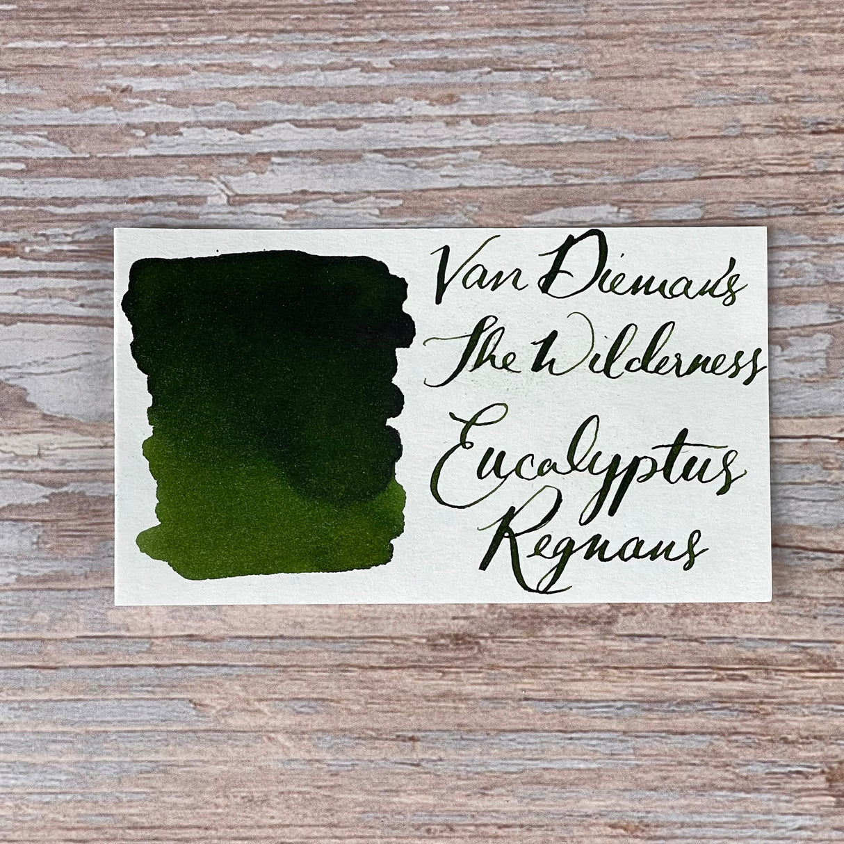 Van Dieman's Wilderness - Eucalyptus Regnans - 30ml Bottled Ink