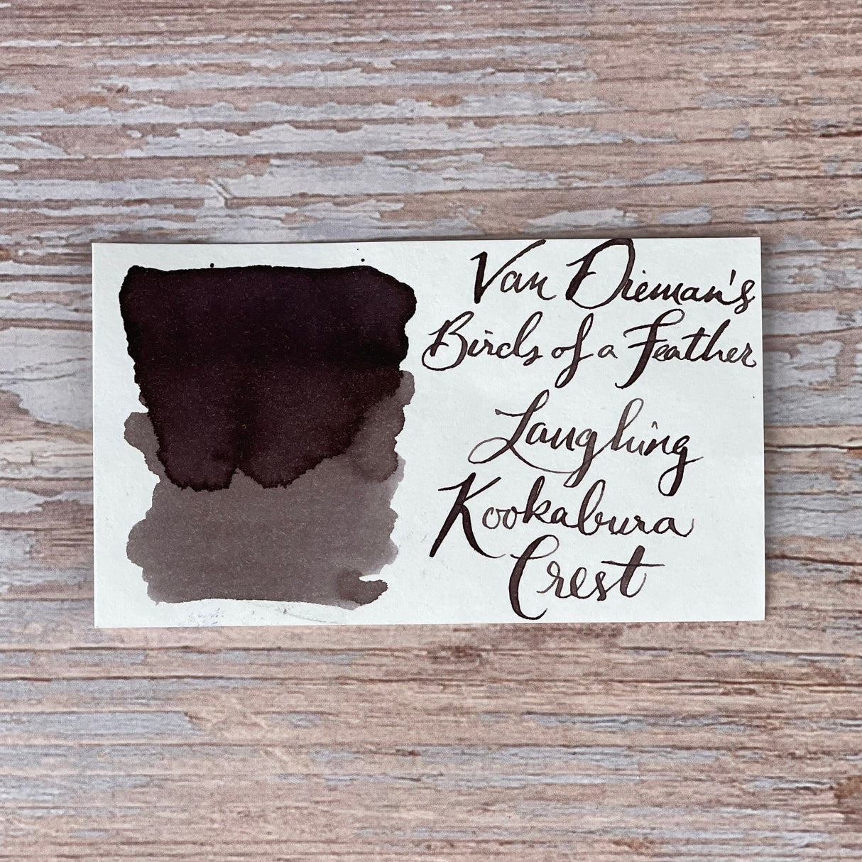 Van Dieman's Birds of a Feather - Laughing Kookaburra Crest - 30ml Bottled Ink