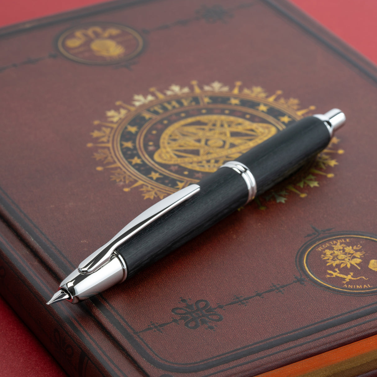 Pilot Vanishing Point Birchwood Fountain Pen - Black