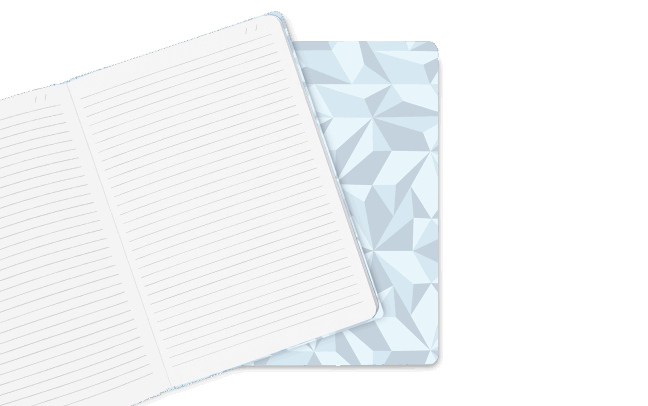 Caran d'Ache Lined Notebook - A5 - Alpine Frost (Special Edition)